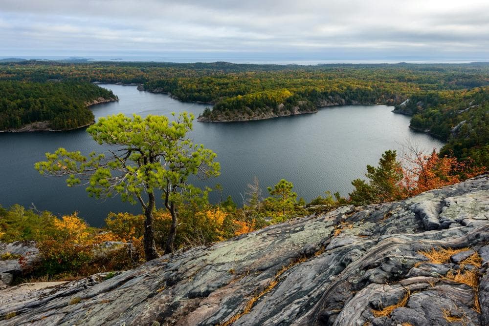 A calm Ontario lake ringed by forest
