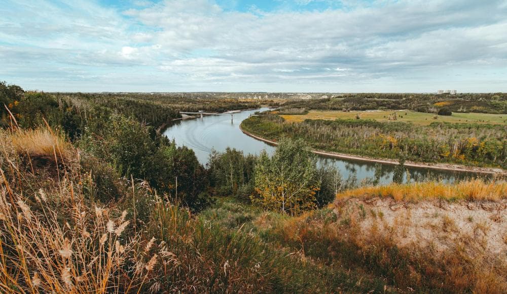 Prairie grassland beside a lake in Saskatchewan